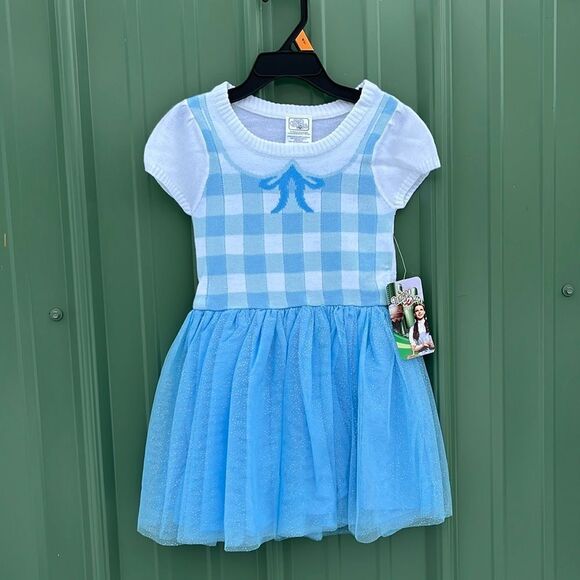 Toddler Girl Wizard of Oz Dorthy Cosplay Sweater Dress Size 4T - Picture 1 of 7